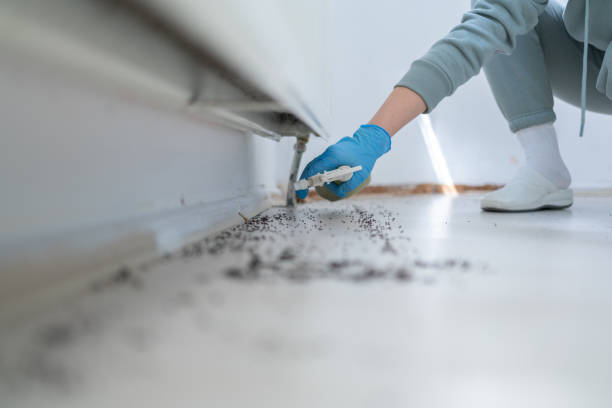 Best Pest Removal Services  in Wales, WI