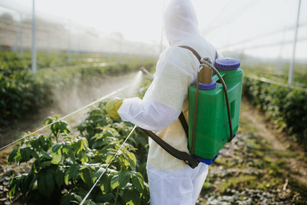 Best Pest Inspection Near Me  in Wales, WI